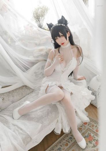 日韩aⅴ_高清神马影院在线